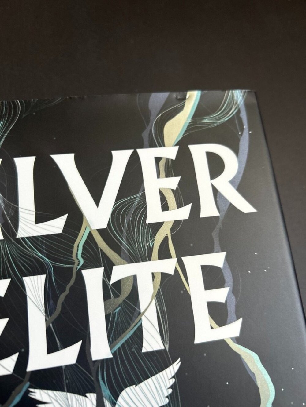 Silver Elite | First Edition | Book - Picture 3 of 10